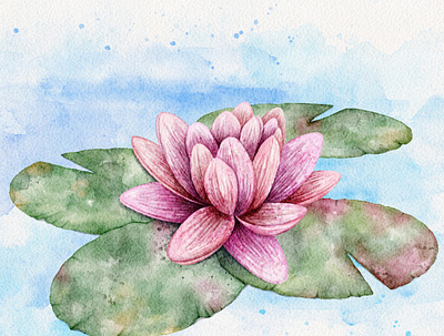 Watercolor Waterlily digital watercolor flower illustration procreate waterlily