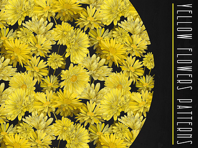 PATTERNS with YELLOW FLOWERS artwork contemporary daisy design digital fabric fabric design fashion fashion design illustration pattern art textille texture