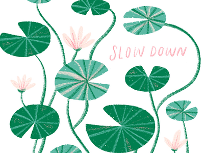 Slow Down aquatic plants botanical lily pads lily pond plants slow slow down