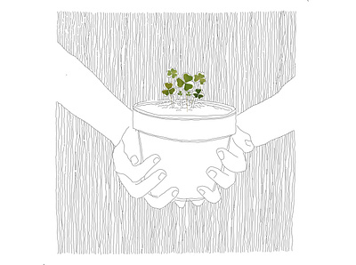 clover flower animation collage creative design illustration illustration art illustrator iran photoshop vector