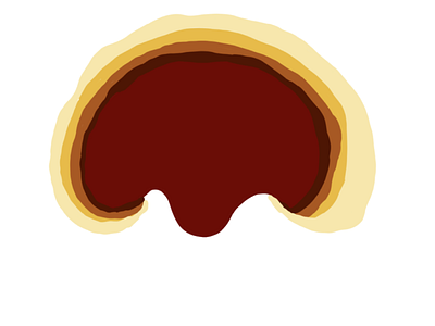 Reishi Mushroom design graphic design illustration vector