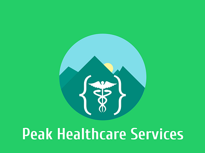 Healthcare Services Logo branding design illustration logo