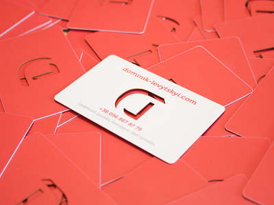Personal Business Cards branding colorfull design dominik levytskyi logo personal red visit card website