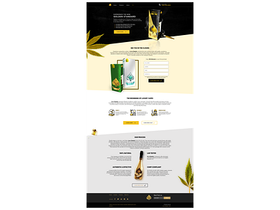 Web Design AOS design graphic design ui ux