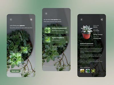 Plant Detection | Plant Identification | Mobile Design branding design graphic design ios landing page landing page website mobile mobile design mobile ui plant detection plants ui ux