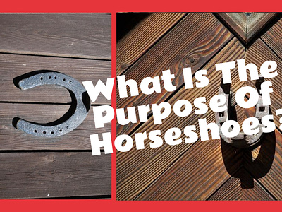 Horsehoe Purpose