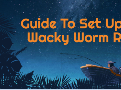 Wacky Worm Rig Tips