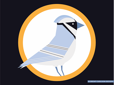 Bird series: blue jay