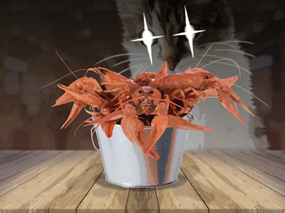 Cat and crayfish