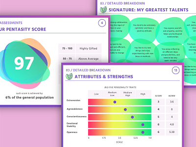 Talent assessment report design