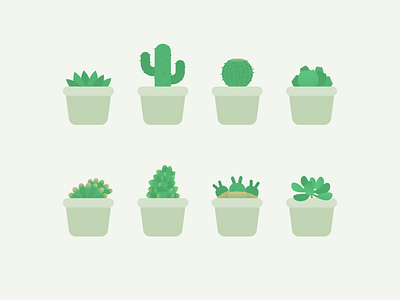 Succulents! design illustration vector