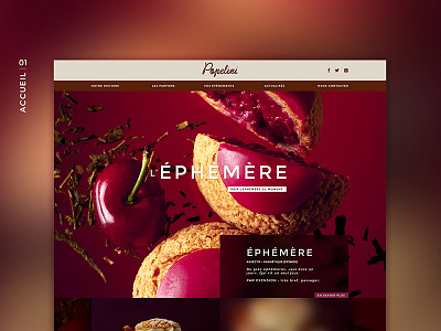 Popelini branding design design ui web webdesign