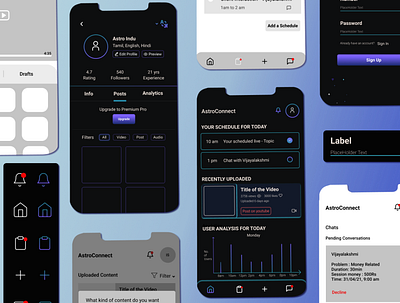 AstroConnect app astrology connect design hi fi mobile ui wireframe