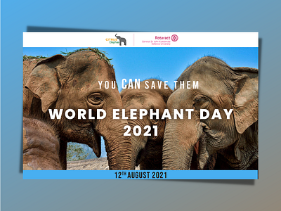 World Elephant Day 2021 branding design designs humanitarian illustration inforgraphics logo posters volunteering