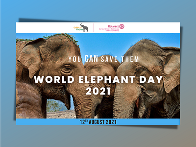 World Elephant Day 2021