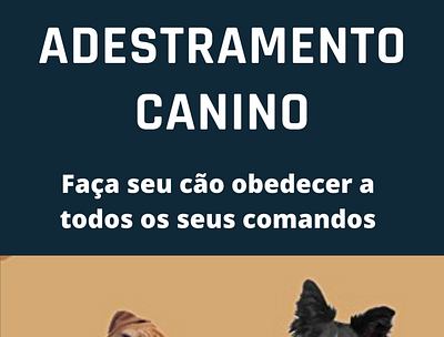 Como Adestrar seu Cachorro adestramento adestramento canino adestramento de cães animais animal cachorro como adestrar meu cachorro comprar ebook plr ebooks plr ebooks plr pets