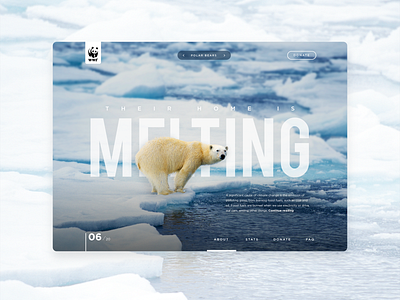 Save the Polar Bears Concept concept creative dailyui design homepage polar bear ui website