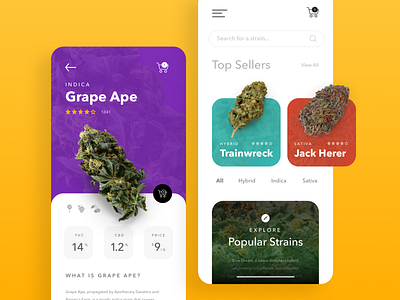 Cannabis App Concept app cannabis cannabis app concept creative dailyui design ui website