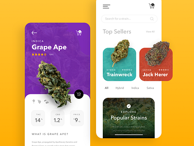 Cannabis App Concept