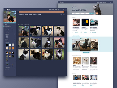 Animal shelter database concept animal design desktop feature icon nonprofit pet research shelter ui ux