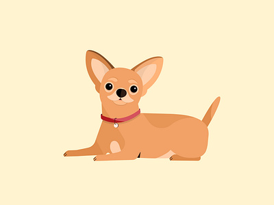 Chihuahua ai animals cartoon characterdesign chihuahua dog graphics illustration illustrator puppy vector vectorart