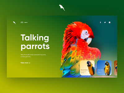 Talking parrots animal ara bird colorful colors design home page parrot ui ux web website
