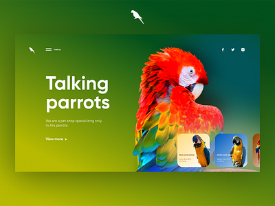 Talking parrots animal ara bird colorful colors design home page parrot ui ux web website