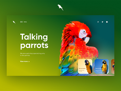 Talking parrots