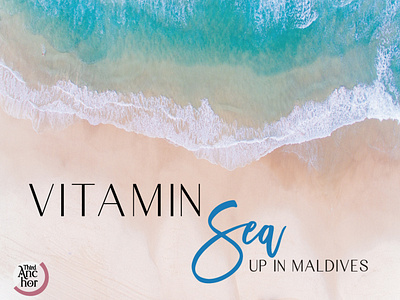 Full Identity Branding-Vitamin Sea Yoga and Surf Studio