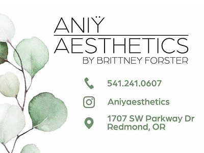 Aniÿ Aesthetics Business Card and Logo branding businesscard design digitalart graphicdesign logo