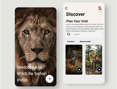 Wildlife Mobile UI discovery lion mobileui ui uiux wildlife zoo