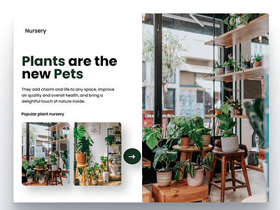 Creative & Modern UI design of Plants Web UI