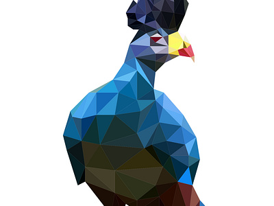 Blue Turaco