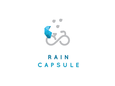 Raincapsule logo icon identity logo protect rain