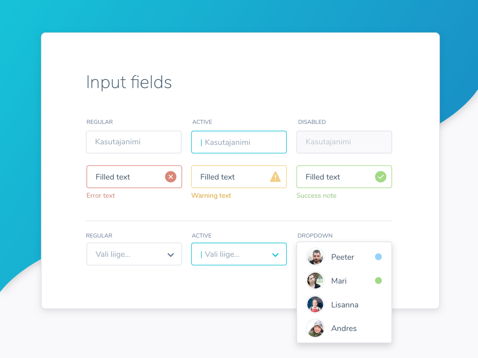 Few Input Field Samples From The Style Guide By Janika Mandel On Dribbble