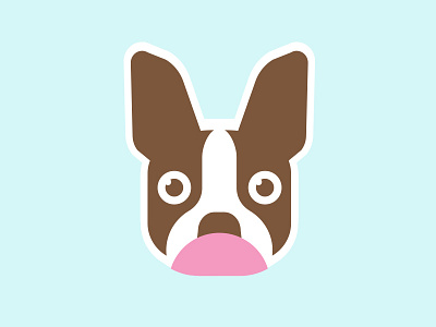 Boston Terrier