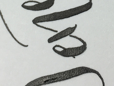 Calligraphy 