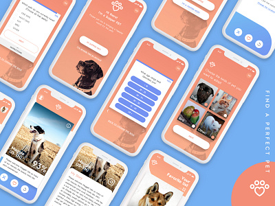 App Concept - Find A Perfect Pet app design community concept lovepet pets tinder ui ux