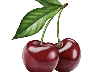 Cherry berries cherry cherry clip art cherry clipart digital art digital illustration illustration png