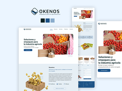 Okenos-Landing-Branding branding design figma graphic design illustration logo ui user interface