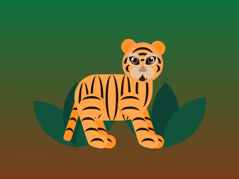 Tiger... animation css design flat html