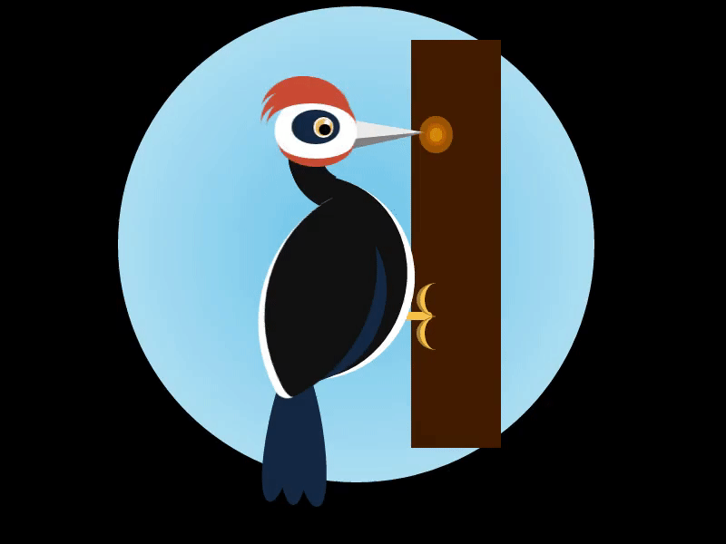 Woodpecker by Judith on Dribbble