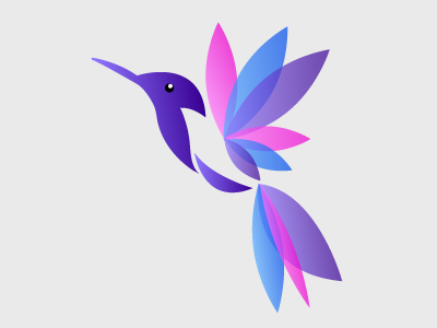 Colourfull colibri design gradients illustration