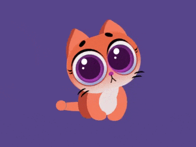 Kitty Kitty animation css design gif html illustration