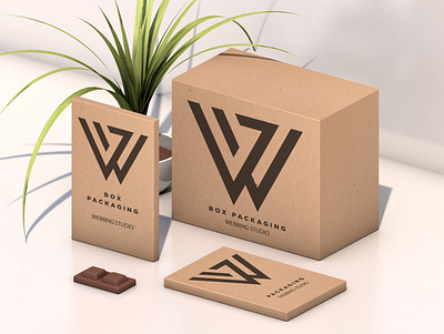 Box Packaging Webbing Studio branding design illustration