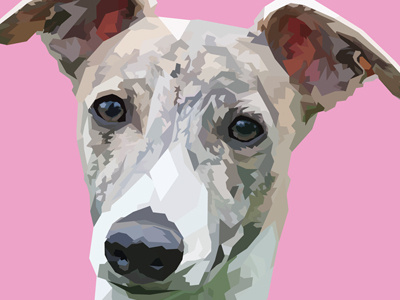 Low Poly Whippet Roo dog low low poly low poly art pet poly polygon puppy sighthound whippet