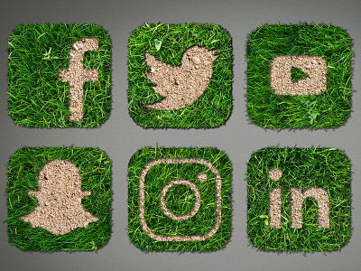 Nature Inspired Social Media Icons apps facebook grass icons instagram linkedin logos nature snapchat social media twitter youtube