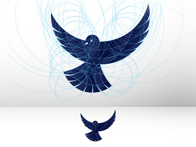 Strongbird bird branding circle grid guideline logo modern npw strongbird thebird