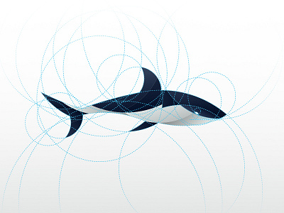 Sharkers branding circle grid guideline logo mark modern npw shark