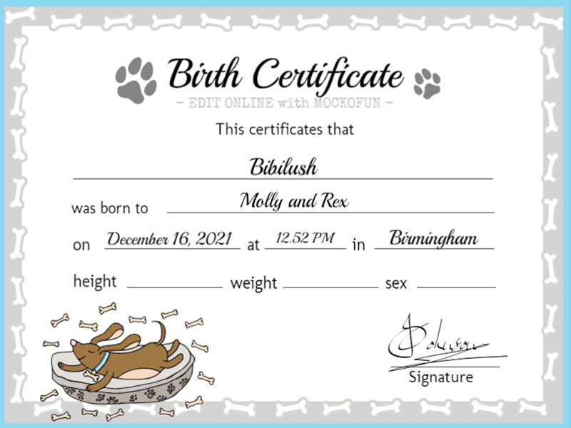 Birth Certificate for Pets birth certificate certificate design dog birth certificate online template